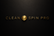 CLEAN SPIN PRO - Home
